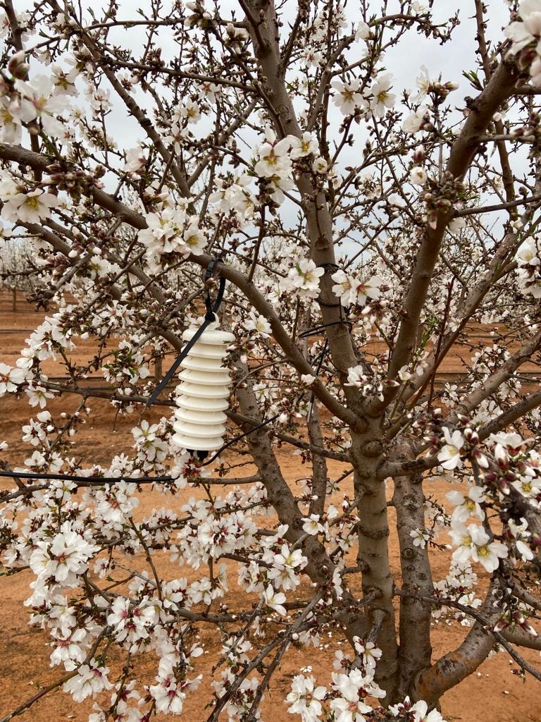 Canopy Microclimate Sensor